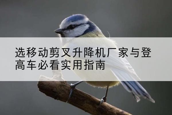乌拉特后旗电动升降机厂家-选移动剪叉升降机厂家与登高车必看实用指南