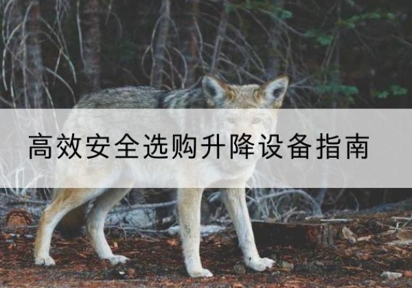 乌拉特后旗升降货梯厂家推荐-*安全选购升降设备指南
