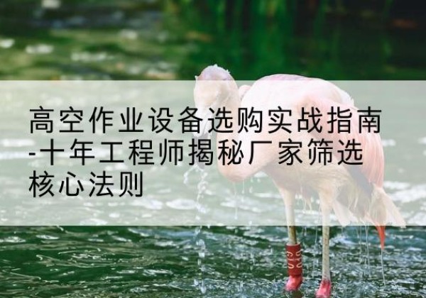 乌拉特后旗剪叉式升降机厂家-高空作业设备选购实战指南-十年工程师揭秘厂家筛选核心法则